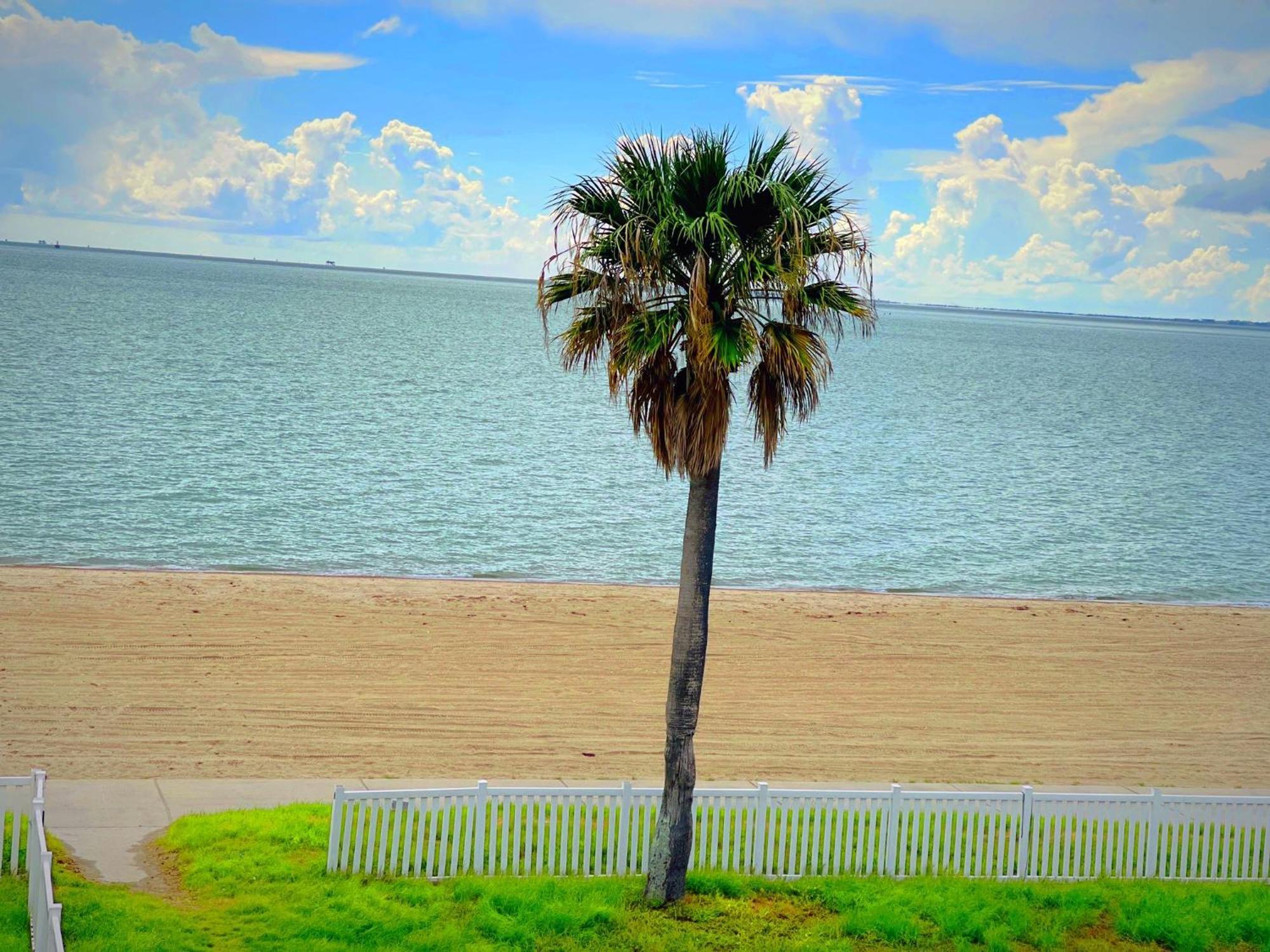 Sea Shell Inn On The Beach Corpus Christi Dış mekan fotoğraf